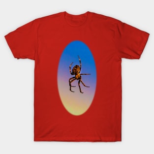 Spider rainbow T-Shirt